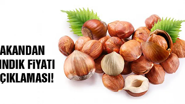 BAKANDAN FINDIK FİYATI AÇIKLAMASI!