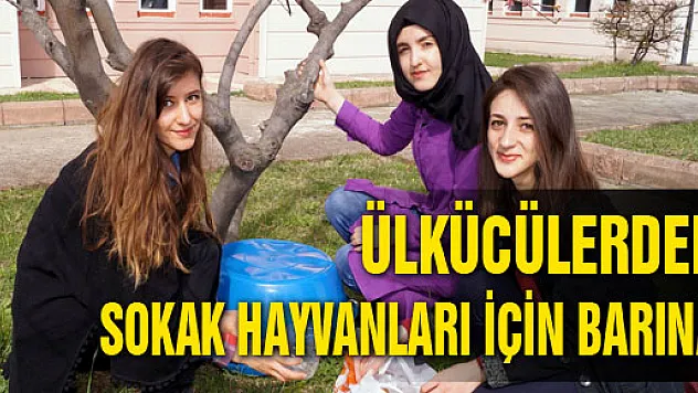 ÜLKÜCÜLERDEN SOKAK HAYVANLARI İÇİN BARINAK