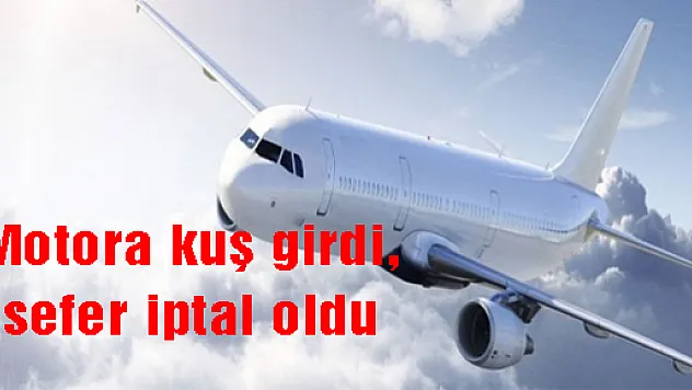 Motora kuş girdi, sefer iptal oldu