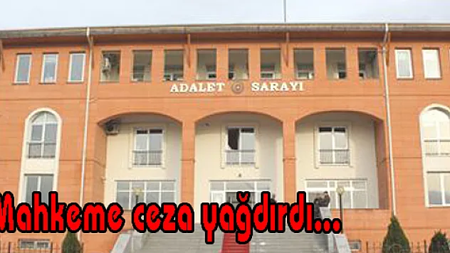 Mahkeme ceza yağdırdı...