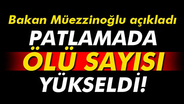 Bakan Müezzinoğlu: 'Ölü sayısı 37'ye yükseldi'