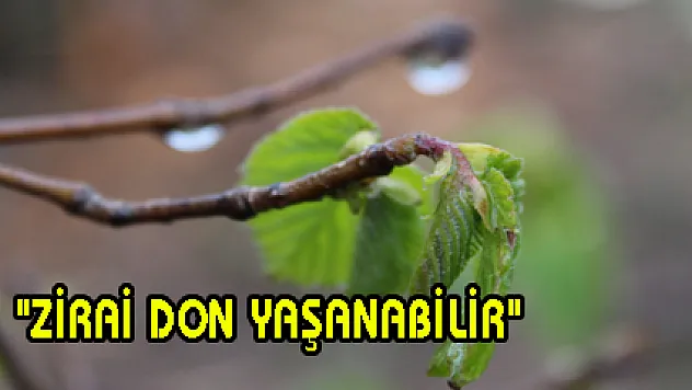 'ZİRAİ DON YAŞANABİLİR'