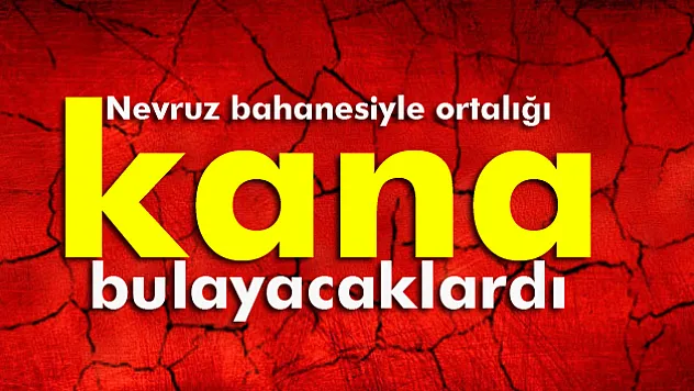 Nevruz bahanesiyle ortalığı kana bulayacaklardı