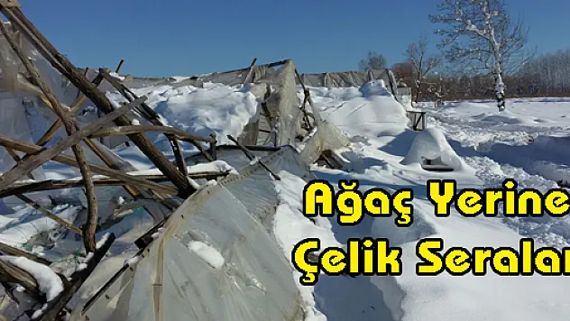 Ağaç Yerine Çelik Seralar Geliyor