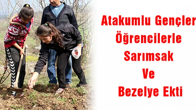 Atakumlu Gençler Öğrencilerle Sarımsak Ve Bezelye Ekti