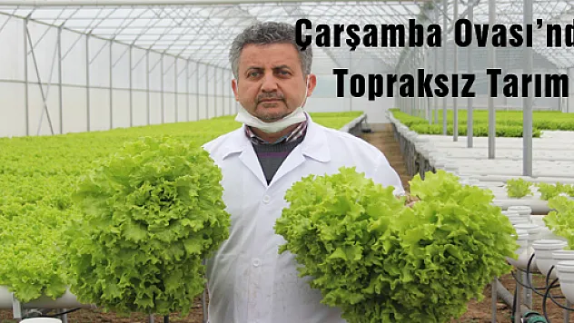 Çarşamba Ovası'nda Topraksız Tarım