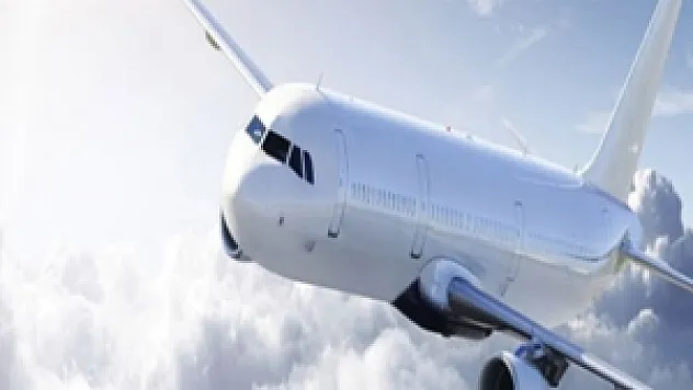 Pilottan Kuleye: 'Bir şey kuşları çekiyor'