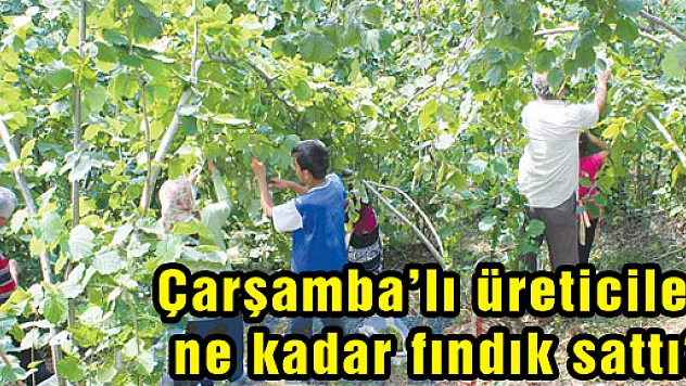 Çarşamba'lı üreticiler ne kadar fındık sattı?