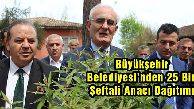 Büyükşehir Belediyesi'nden 25 Bin Şeftali Anacı Dağıtımı