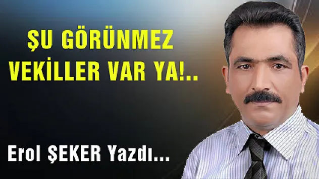 ŞU GÖRÜNMEZ VEKİLLER VAR YA!..