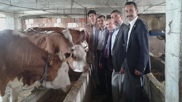 TARIM KREDİ'DEN 4 YIL VADELİ İNEK SATIŞI