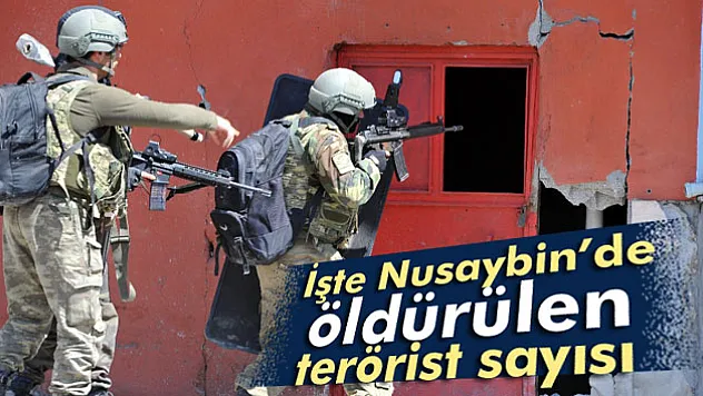 Nusaybin'de toplam 286 terörist öldürüldü