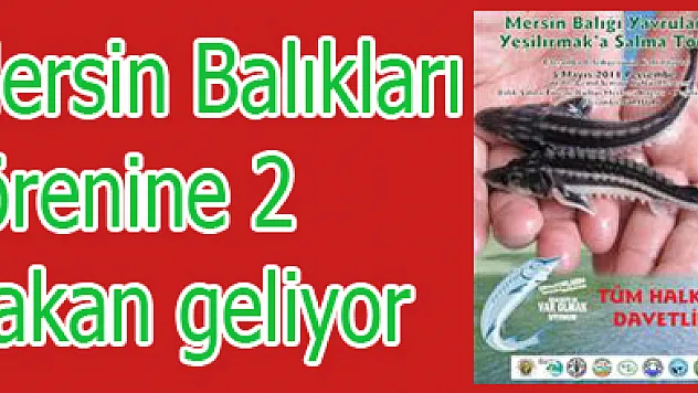 Mersin Balıkları törenine 2 Bakan geliyor