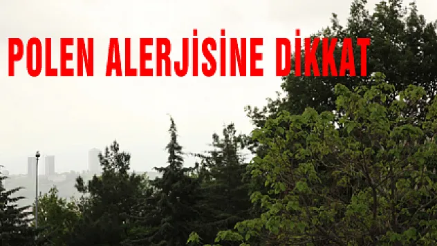 POLEN ALERJİSİNE DİKKAT
