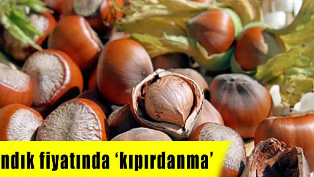 Fındık fiyatında 'kıpırdanma'