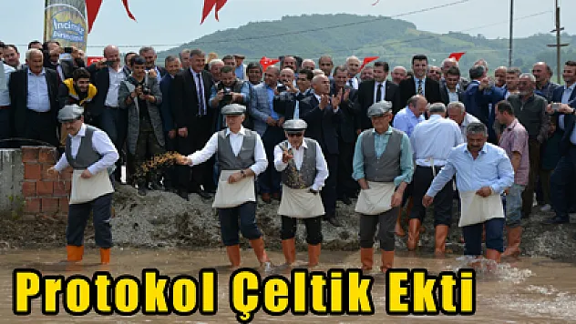 Protokol Çeltik Ekti