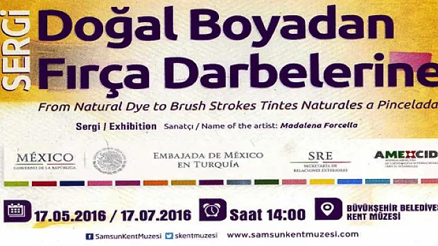 Doğal Boyadan Fırça Darbelerine