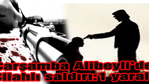 ALİBEYLİ DE SİLAHLI SALDIRI:1 YARALI