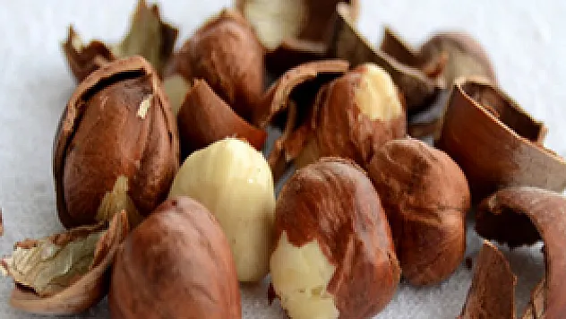 Fındık üretiminin yüzde 18 oranında azalacağı tahmin ediliyor