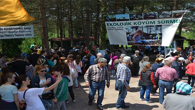 BAFRA'DA OT TOPLAMA YARIŞMASI