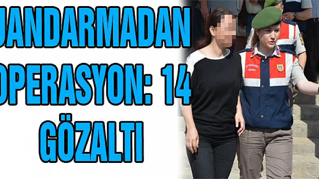 JANDARMADAN OPERASYON: 14 GÖZALTI