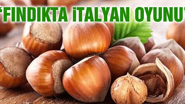 AKŞENER: 'FINDIKTA İTALYAN OYUNU'