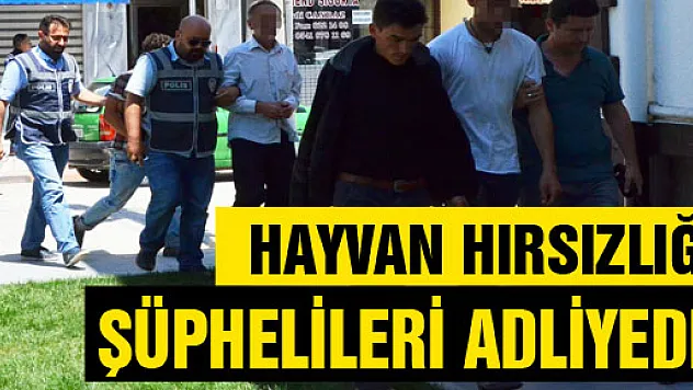HAYVAN HIRSIZLIĞI ŞÜPHELİLERİ ADLİYEDE