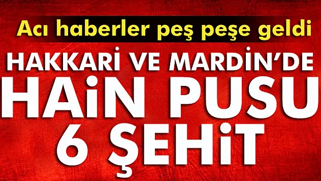 Hakkari ve Mardin'de hain pusu: 6 şehit