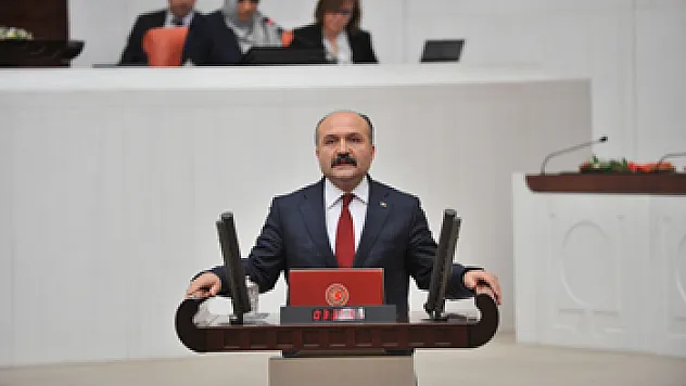 MHP'li Usta, TBMM' de Ayvacık'ı gündeme getirdi