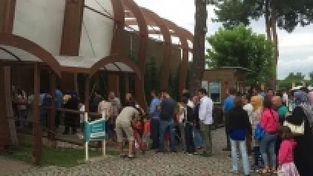 Ordu'da görenleri şaşırtan kuyruk