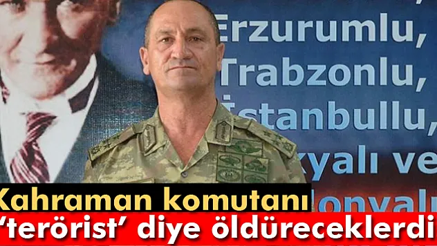 Hainler, komutanı 'terörist' diye öldürteceklerdi