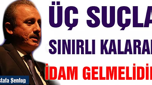Şentop: Üç suçla sınırlı kalarak idam gelmelidir