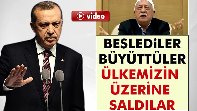 Erdoğan: Beslediler, büyüttüler, ülkemizin üzerine saldılar