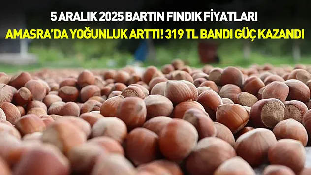 5 Aralık 2025 Bartın Fındık Fiyatları | Amasra'da Yoğunluk Arttı! 260 TL Bandı Güç Kazandı