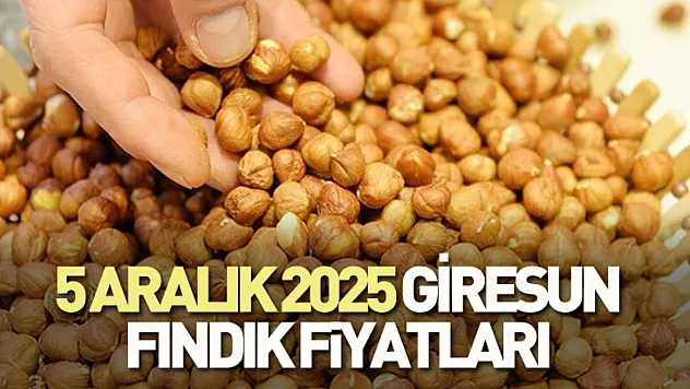 5 Aralık 2025 Giresun Fındık Fiyatları? 275 TL Seviyesi Gündemde!