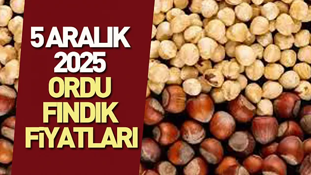 5 Aralık 2025 Ordu Fındık Fiyatları ne kadar? 280 TL Beklentisi Güçlendi!
