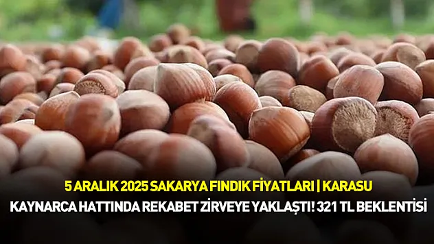 5 Aralık 2025 Sakarya Fındık Fiyatları | Karasu–Kaynarca Hattında Rekabet Zirveye Yaklaştı!