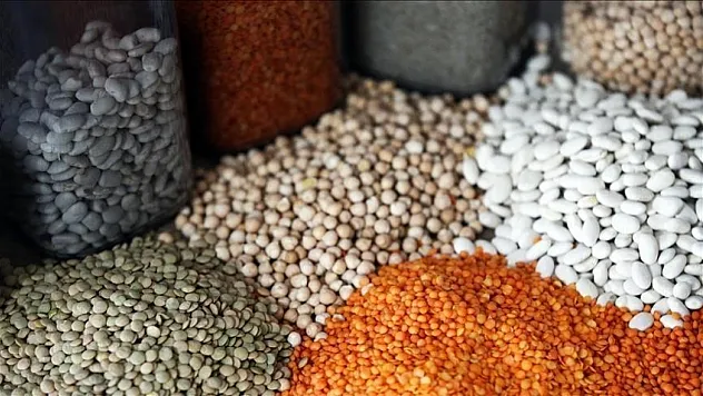 5 ayda 1,5 milyar dolarlık hububat ihracatı gerçekleştirildi