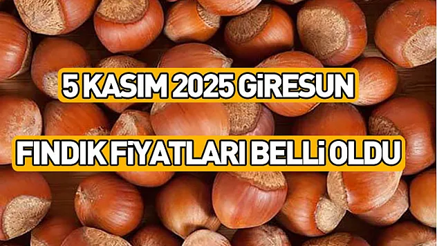 5 Kasım 2025 Giresun Fındık Fiyatları Belli Oldu