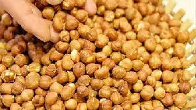 5 Şubat 2026 Ordu Fındık fiyatları ne kadar?