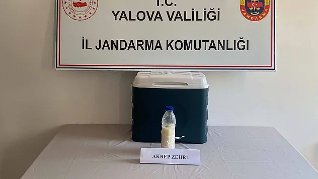 500 gram akrep zehri ele geçirildi: Değeri 5 milyon dolar