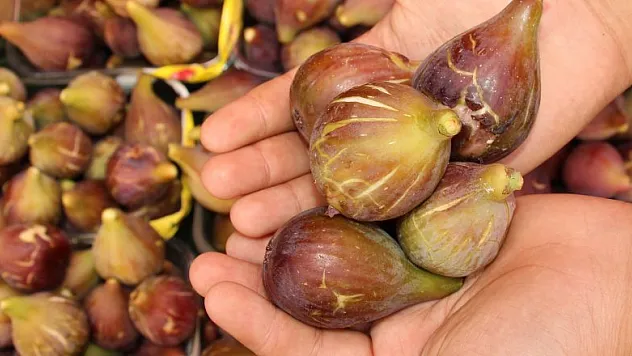 İncir tezgahtaki yerini aldı