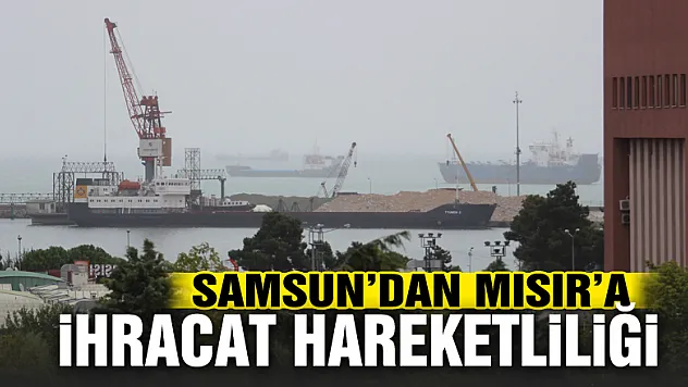 Samsun'dan Mısır'a bentonit ve barit ihracatı