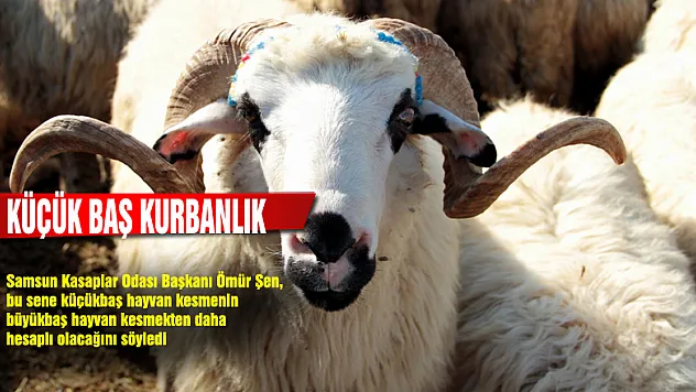 Küçükbaş kurbanlık tavsiyesi