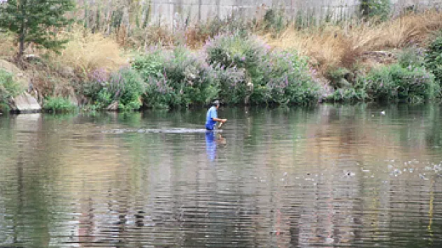 Samsun'da korkutan balık ölümleri