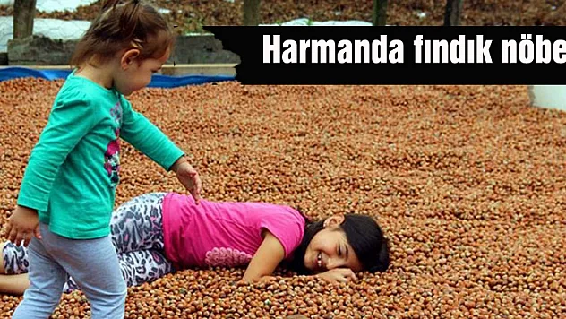 Üreticinin harmanda fındık nöbeti