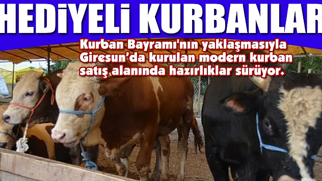 Bu kurban pazarında kurbanlıklar hediyeli