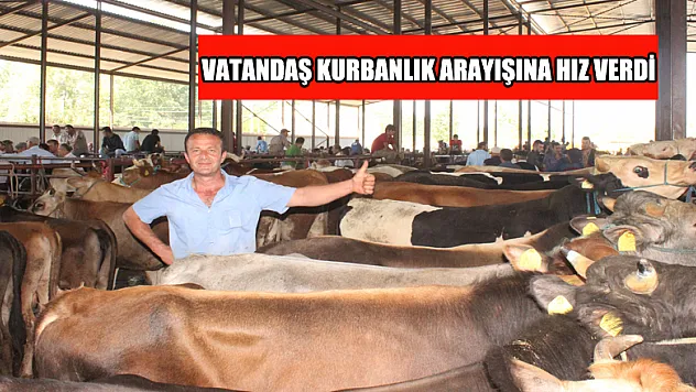 Vatandaş kurbanlık arayışına hız verdi