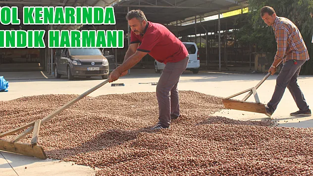 Yol Kenarında Fındık Harmanı