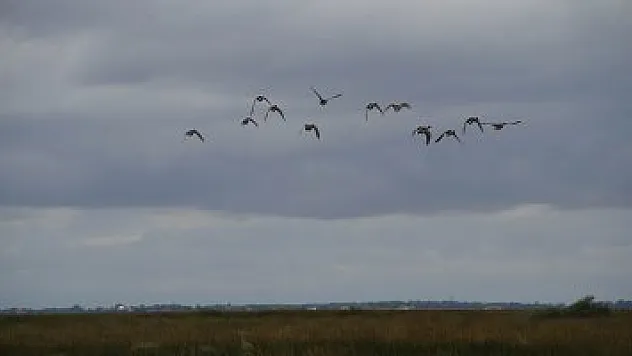  Kuş Cenneti sosyal medyadan takip edilebilecek 